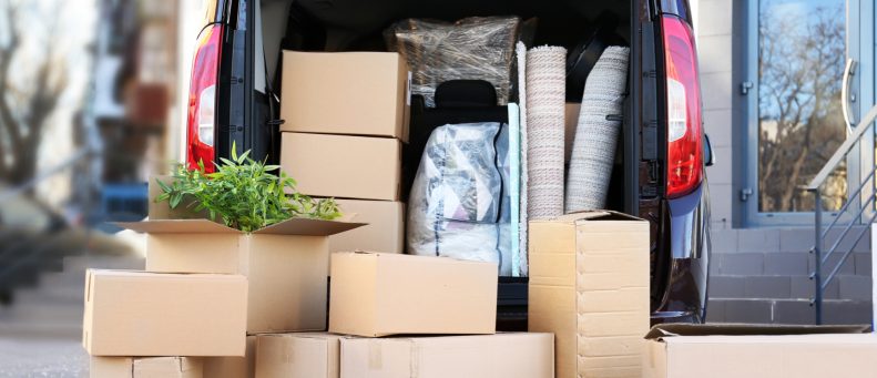 Get in the Know Before Jumping Behind the Wheel