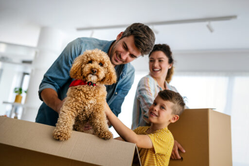 Things to Pack When Moving With a Pet
